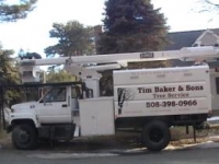 Cape Cod Tree Services Tree Removal, Pruning & Stump Grinding
