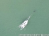 Great White Shark: Enjoying Winter in Florida. See you next Summer